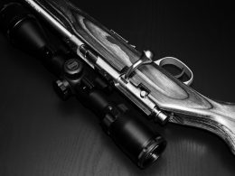 Best Scopes for .17 HMR