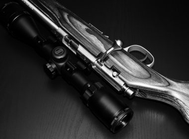 Best Scopes for .17 HMR