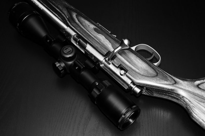 Best Scopes for .17 HMR