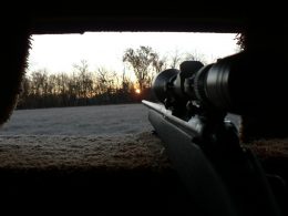 Best Scopes For .30-06 Springfield