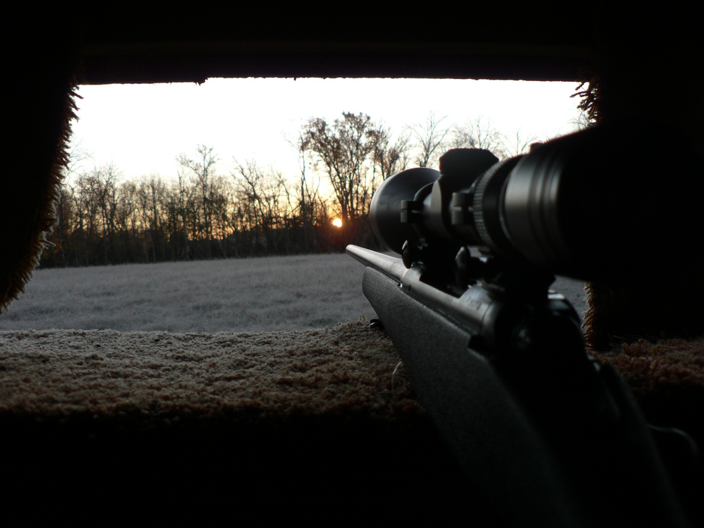 Best Scopes For .30-06 Springfield