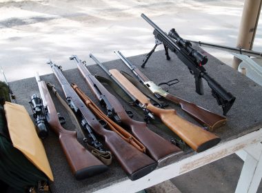 The 4 Best .22lr Rifle Scopes