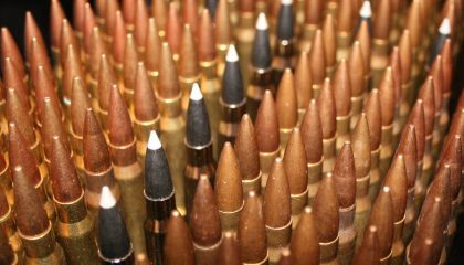 270 vs 308: Which is Best for Hunting? [Cartridge Comparison]