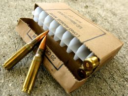 .308 Winchester Ammo