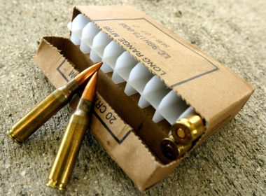 .308 Winchester Ammo