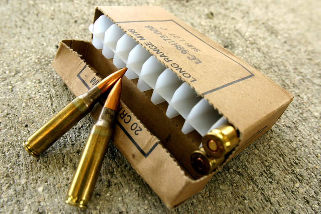 .308 Winchester Ammo