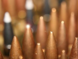 .308 Winchester Ammo