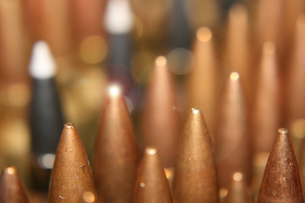.308 Winchester Ammo