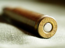 .308 Winchester Ammo