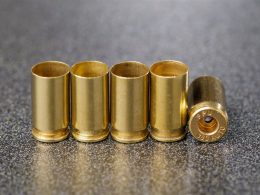 .380 ACP Shells