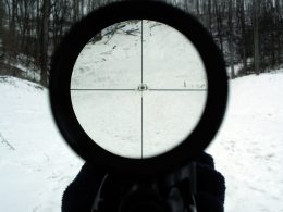 View through telescopic sight (sniper scope)