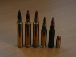 300 WM and 308 Win Ammo