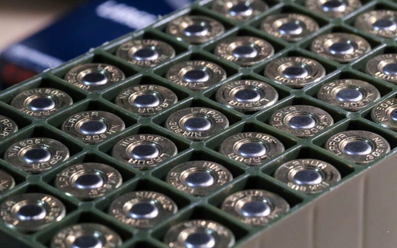 .308 Winchester Ammo