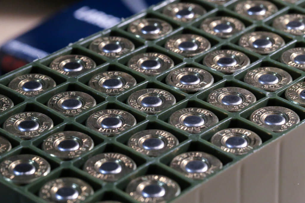 .308 Winchester Ammo