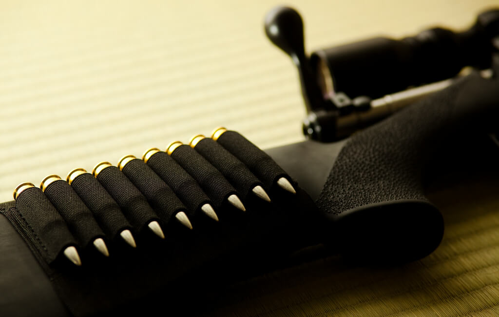 .308 Winchester Ammo