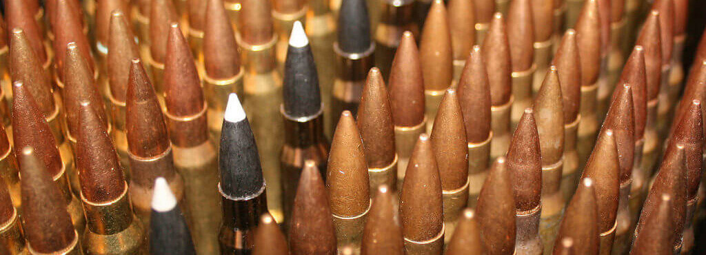 .308 Winchester Ammo