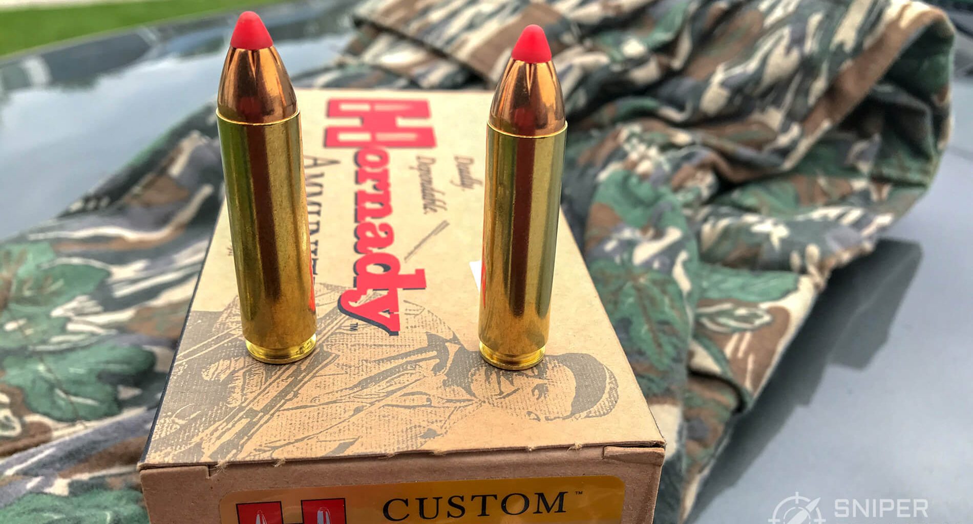 .450 Bushmaster Ammo