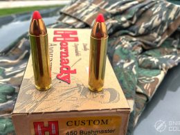 .450 Bushmaster Ammo