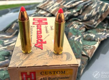 .450 Bushmaster Ammo