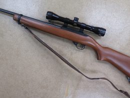 Ruger 10/22 Rifle