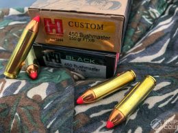 .450 Bushmaster Ammo