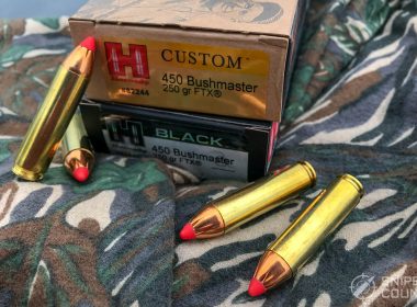 .450 Bushmaster Ammo