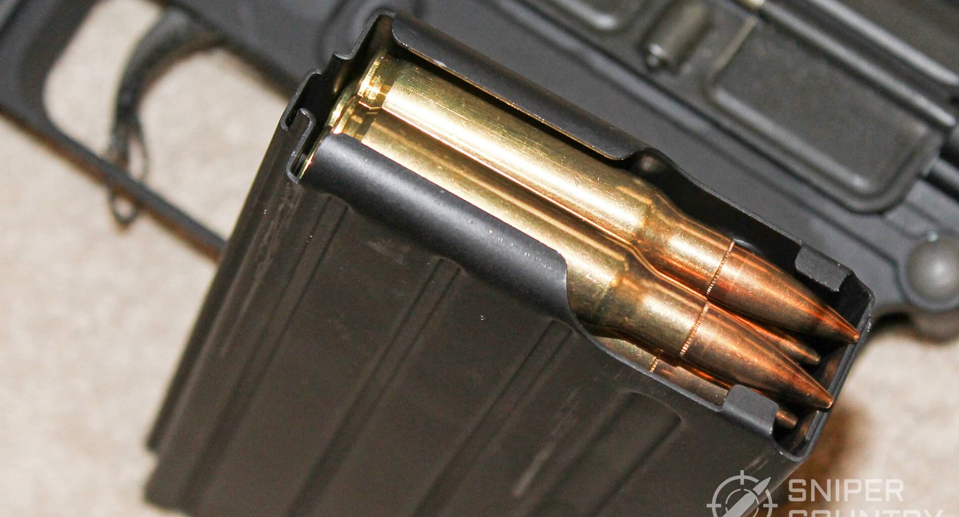 DPMS LR-308 AR-10 full mag