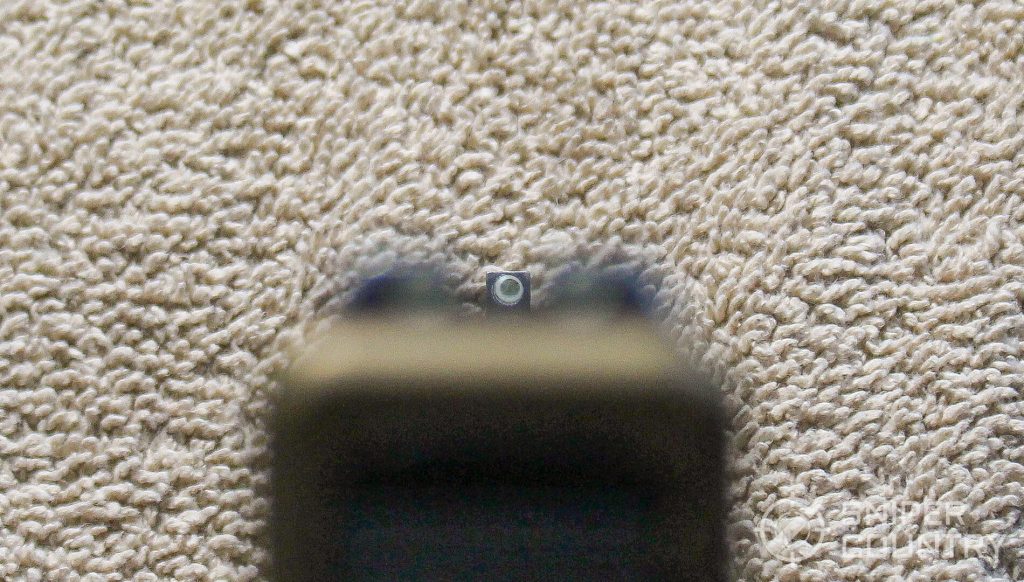 Glock G19X sight picture