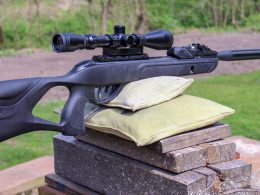 GAMO Swarm Fusion 10X GEN2 on bags