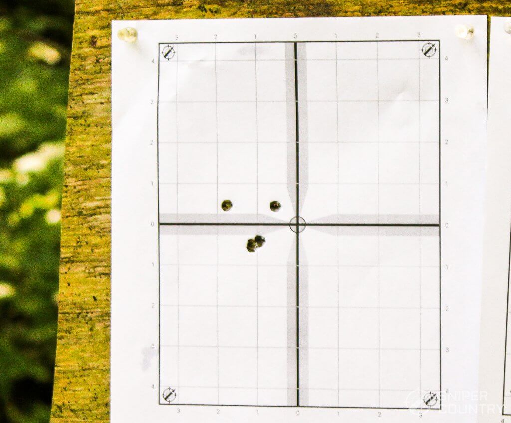 target shot with the Ruger American Predator