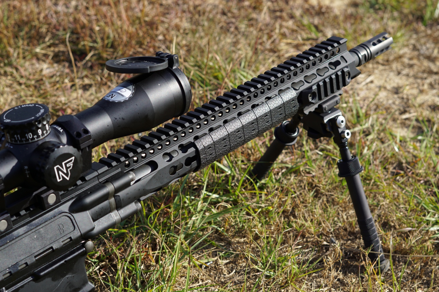 AR-10