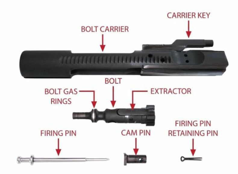 BCG Diagram Labeled