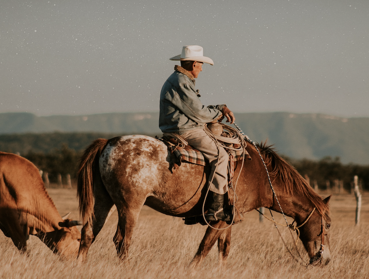 Wrangler on horse back