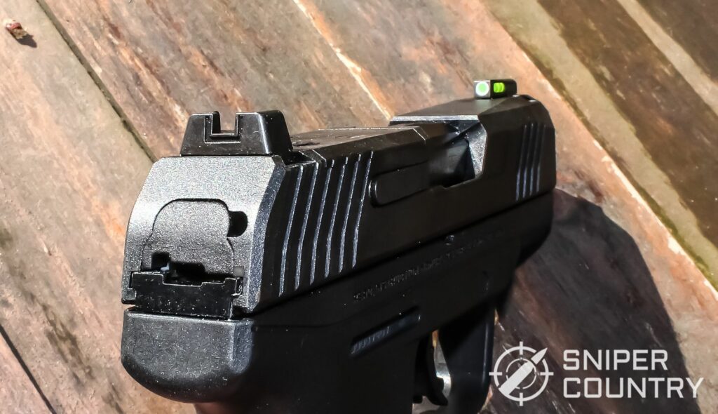 Check out the sights on the new Ruger MAX-9 pistol