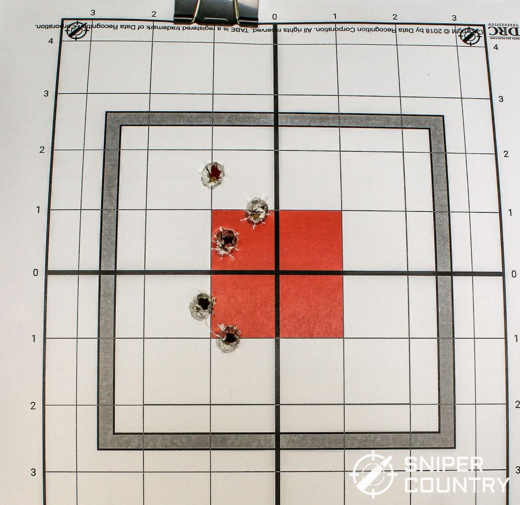 Springfield Hellcat target Training Dynamics