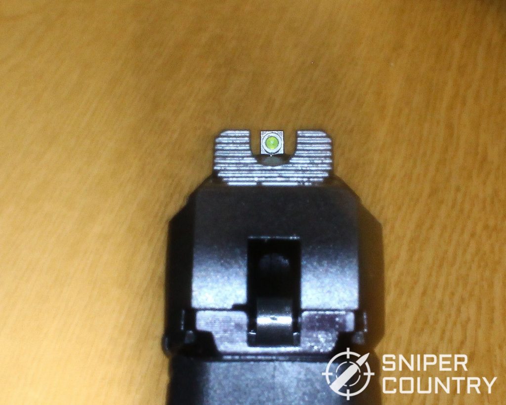 Ruger LCP Max sight picture