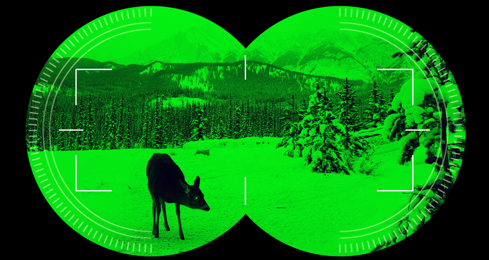 night vision scope