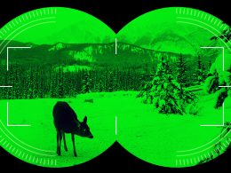 night vision scope