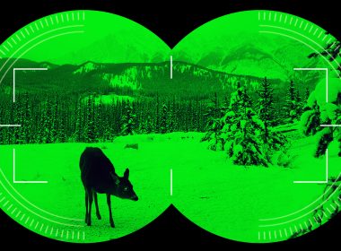 night vision scope