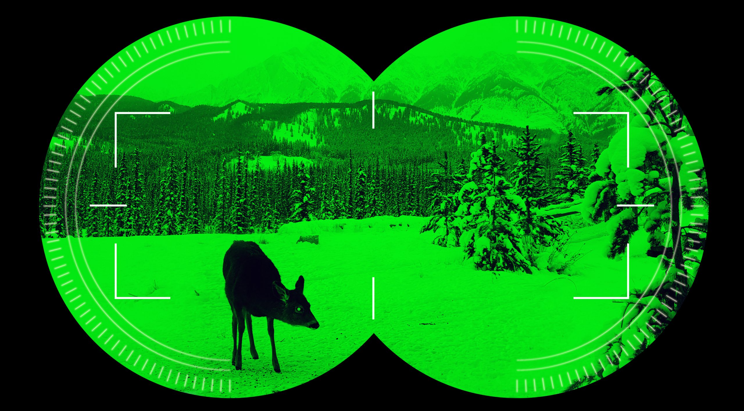 Contact Goggle | Giro