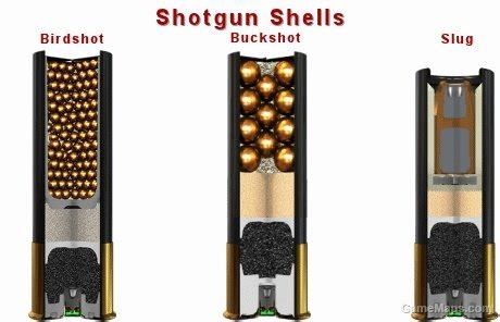8 Best Home Defense Shotguns in 2021 Shotgun Shells