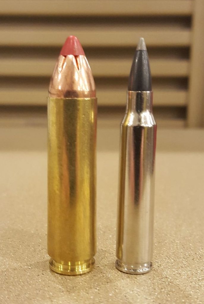 The .450 Bushmaster (left) and .223 Remington (right)
