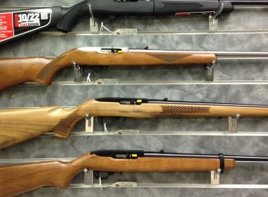 The Best .22 LR Rifles - Ruger 10/22