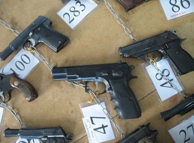 gun auction