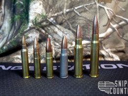 5.56 NATO, 300 BLK, 300 BLK, 7.62x39 Soviet, .308 Win, 8mm Mauser
